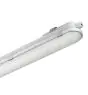 Philips LED Feuchtraumleuchte CoreLine WT120C Gen2 57W 8000lm - 840  | 150cm